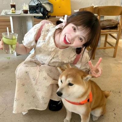 往事决堤